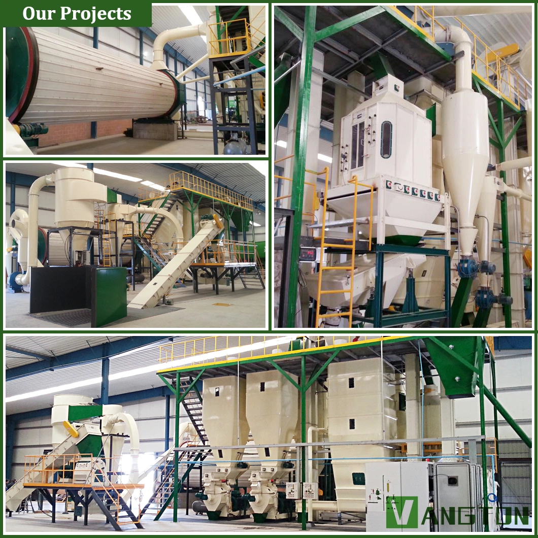 Ring Die 560 760 860 Model Rice Husk Straw Sawdust Biomass Wood Pellet Machine/Mill Price for Briquette/Pelletizer